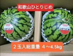 特値。和歌山 ひとりじめ紅小玉スイカ。優品。Ｌサイズ2玉入。総重量4〜4.5kgのサムネイル
