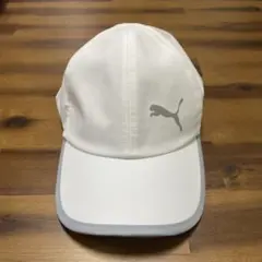 Item thumbnail for item 46969904-da90-4c46-8908-bf0057c95c77