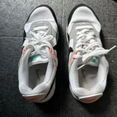 Item thumbnail for item 8cde1ca2-c6b0-444a-9c90-9743e320c90c