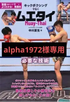 ムエタイ 動画サイトでは公開されない本当に必要な技術 動画でよくわかる!格闘技