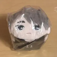 ハイキュー　ぽてコロマスコット3 宮治