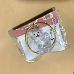 わんこのタイムカプセル　ラテ　ガチャ