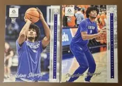 Item thumbnail for item 31899473-ceed-4807-870a-478bf8c1ce1e