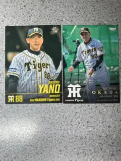 阪神タイガース 矢野燿大 岡田彰布 BBM カード 2枚セット