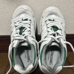 스폴딩 짐 슈즈 21.5 cm