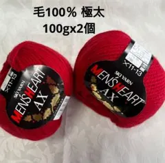 毛糸 スキーヤーン メンズハート AX 100gx2個