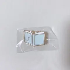 Sir Vanity Mixtape シークレットコレクション ピンバッジ 壮馬