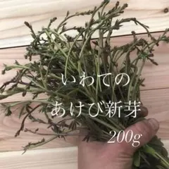 スノー様専用】乾燥クロモジ120g＊花・若葉・枝MIX - メルカリ