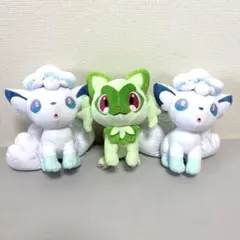 北海道限定 ポケモンローカルActs物産展ぬいぐるみ ロコン アローラ