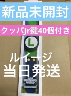 usjパワーアップバンド　ルイージ鍵40個付きニンテンドーワールド　新品未開封