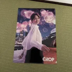 ☆非売品☆ 川口春奈 クリアファイル A4サイズ CROP社 - メルカリ