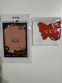 ドリショ4 ランダムトイ　NCTDREAM チソン