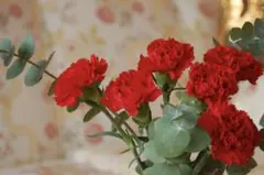 kumakuma様専用♡