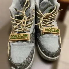 NIKE Travis Scott × AirTrainer1