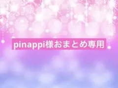 pinappi様おまとめ専用