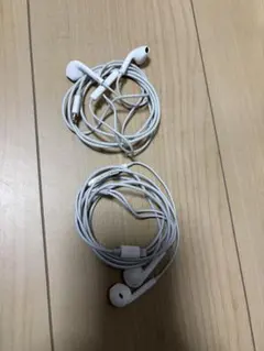 Apple純正　イヤフォンとライトニングアダプタセット