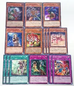 遊戯王カード アマゾネス デッキパーツ 14枚セット