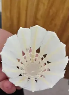 Item thumbnail for item b310e17c-cc70-4eda-9bcf-dfaa36e90195