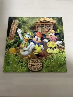 ディズニーシー ドナルドダック 写真