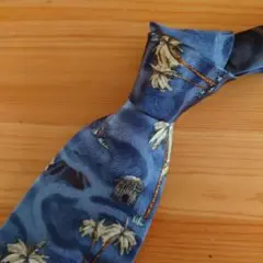 67 WATERFRONT THRIFT STORシルク100％ネクタイE