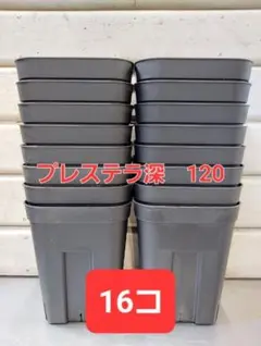 2026年最新】プレステラ 90 深鉢の人気アイテム - メルカリ