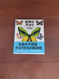世界のチョウ