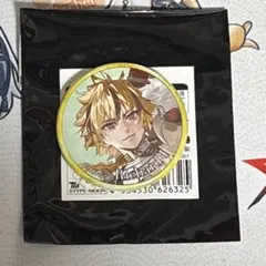 FGO Fate/GrandOrder AJ 霊基召喚 缶バッジ リチャード - メルカリ