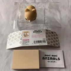 Item thumbnail for item 0a909639-9fdc-471e-b592-b0eeb7685939