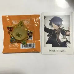 あんスタ スタライ リンライ ぱしゃっつ 忍