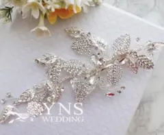 Item thumbnail for item 8e6f8838-1f8a-45b5-9aa7-d8fa40a58b8d