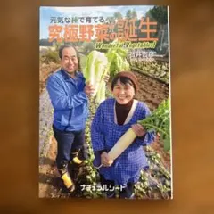 Item thumbnail for item bf30149b-6cf6-44a8-b667-9c575c28e33b