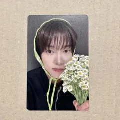 ampersandone カムデン　トレカ musicart ヨントン