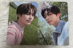 zb1 ハンビン トレカ 2枚 never say never