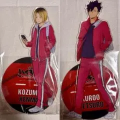 【新品未開封】ハイキュー ゴミ捨て場の決戦 ビッグアクリルスタンド アクスタ