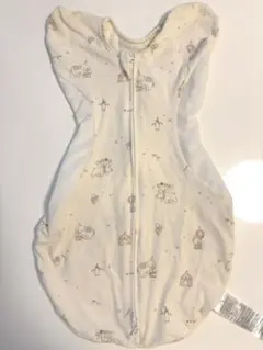 Item thumbnail for item e988645c-a25d-49e7-a6bf-a919fd41fa0a