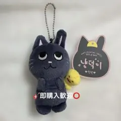 RIIZE ウォンビン トニャンドク バレンタイン MD 10cm - メルカリ