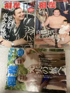 板井圭介 中盆 : 私が見続けた国技・大相撲の