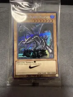 遊戯王 レッドアイズ ブラックドラゴン ナイキ コラボ 英語 NIKE シク
