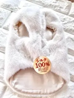 Item thumbnail for item 38b394a9-1ef8-48ed-9d46-f5cd061f779b