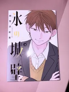 氷の城壁 1巻 初版 帯付き／阿賀沢紅茶 - メルカリ