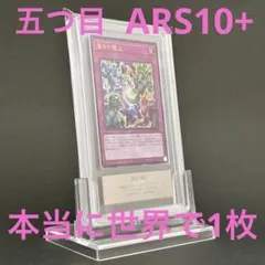 ARS10+ 世界に1枚】オタチ 旧裏 金,銀,新世界へ - メルカリ