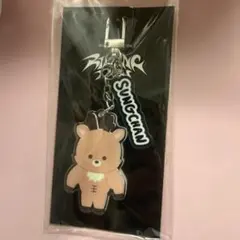 RIIZE RIIZING DAY アクリルキーホルダー　ウラッバム　ソンチャン