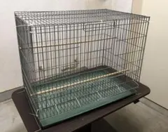 Item thumbnail for item 185a7456-7f84-4e3d-b8d9-64fe91cdfb20