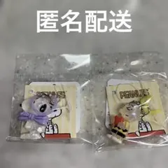 PEANUTS スヌーピー チャーリー・めじるしミニチャーム
