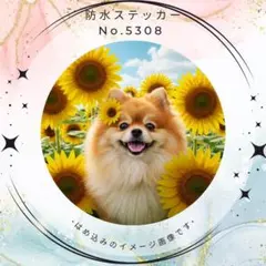 ひめ様 リクエスト 2点 まとめ商品