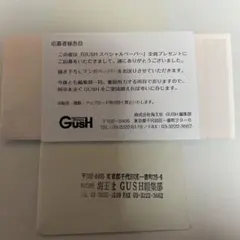 GUSHガッシュ　9月号全プレペーパー　冷蔵庫にネギがあったカモカモ　三島ピタリ