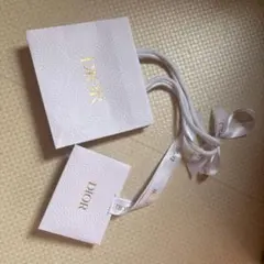 Dior ホワイトレザー調紙袋