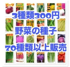 よよよ様 リクエスト 2点 まとめ商品