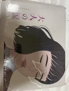 マカロニえんぴつ 大人の涙 アナログレコード - メルカリ