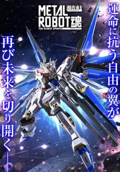 METAL ROBOT魂 ＜SIDE MS＞ ストライクフリーダムガンダム弐式